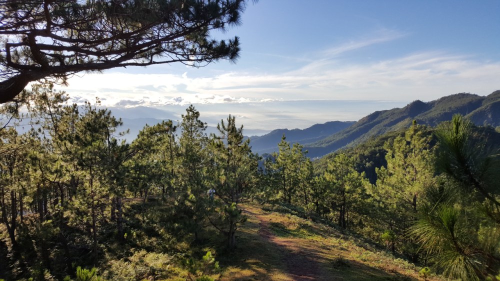 tumblr_ok0g0rltcm1vhaz82o10_r2_1280