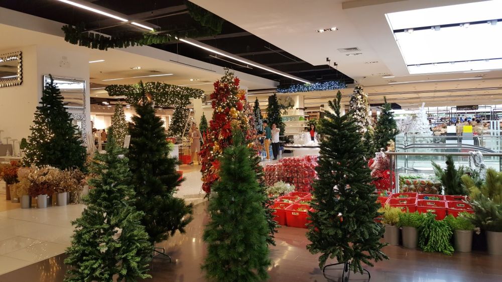 WhatsApp Image 2017-09-23 at 15.21.05.jpeg